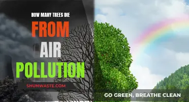 Air Pollution's Deadly Impact on Trees