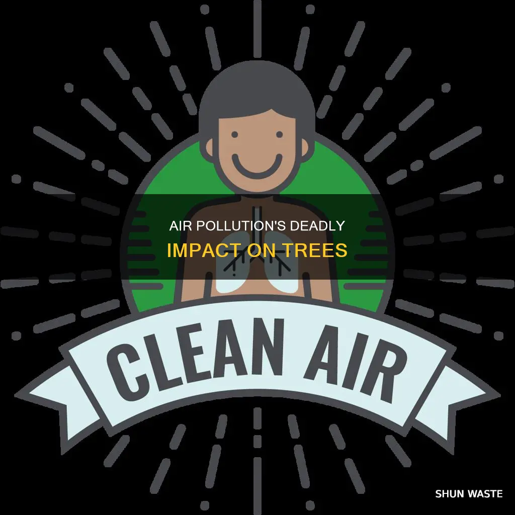 how many trees die from air pollution