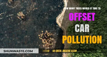 Planting Trees to Offset Car Pollution: How Many?