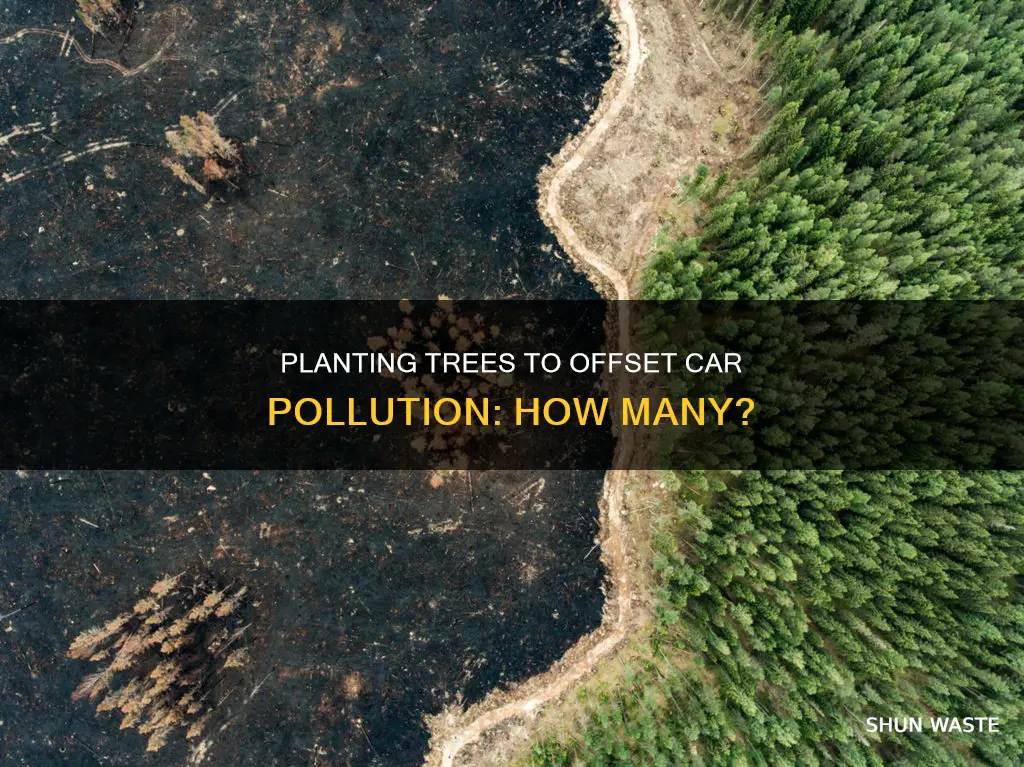 how many trees would it take to offset car pollution