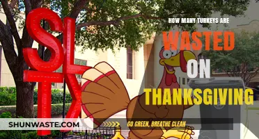 Thanksgiving Turkey Waste: How Much Food Goes Uneaten Annually?