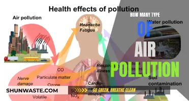 Air Pollution: Understanding the Many Types and Their Impact
