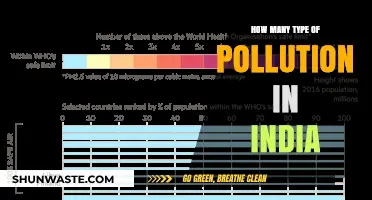 Pollution Types in India: A Comprehensive Overview