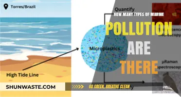 Marine Pollution: Understanding the Different Types and Their Impact