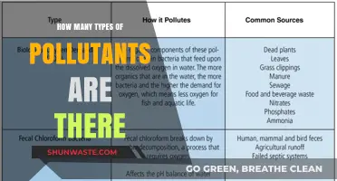 Understanding Different Types of Environmental Pollutants