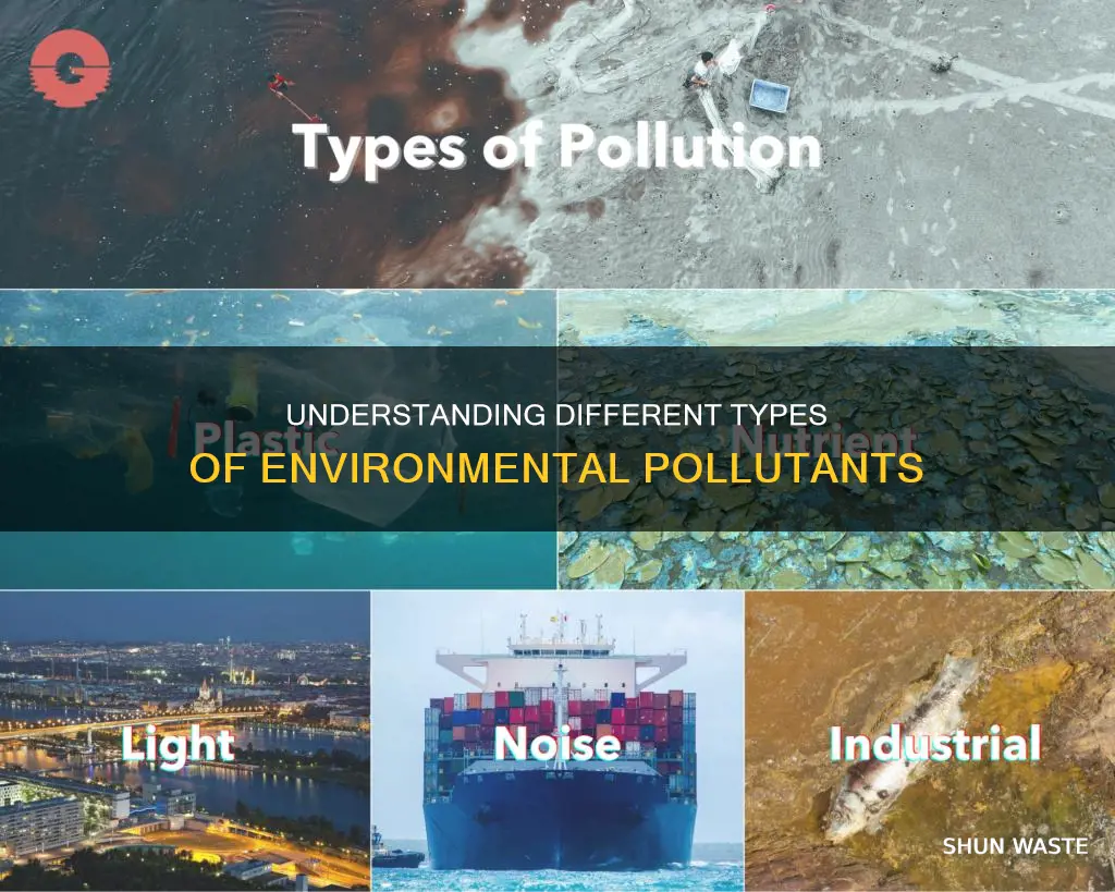 how many types of pollutants are there