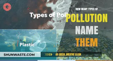 Pollution Types: Understanding the Many Ways We Pollute