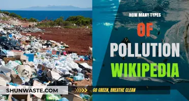 Pollution Types: A Comprehensive Overview