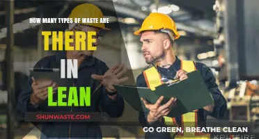 Exploring the Varied Types of Waste in Lean Methodology