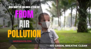 US Children: Victims of Air Pollution Fatalities