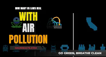 US Air Pollution Laws: How Many Exist Today?