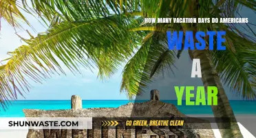 Americans' Unused Vacation Days: A Yearly Waste of Relaxation