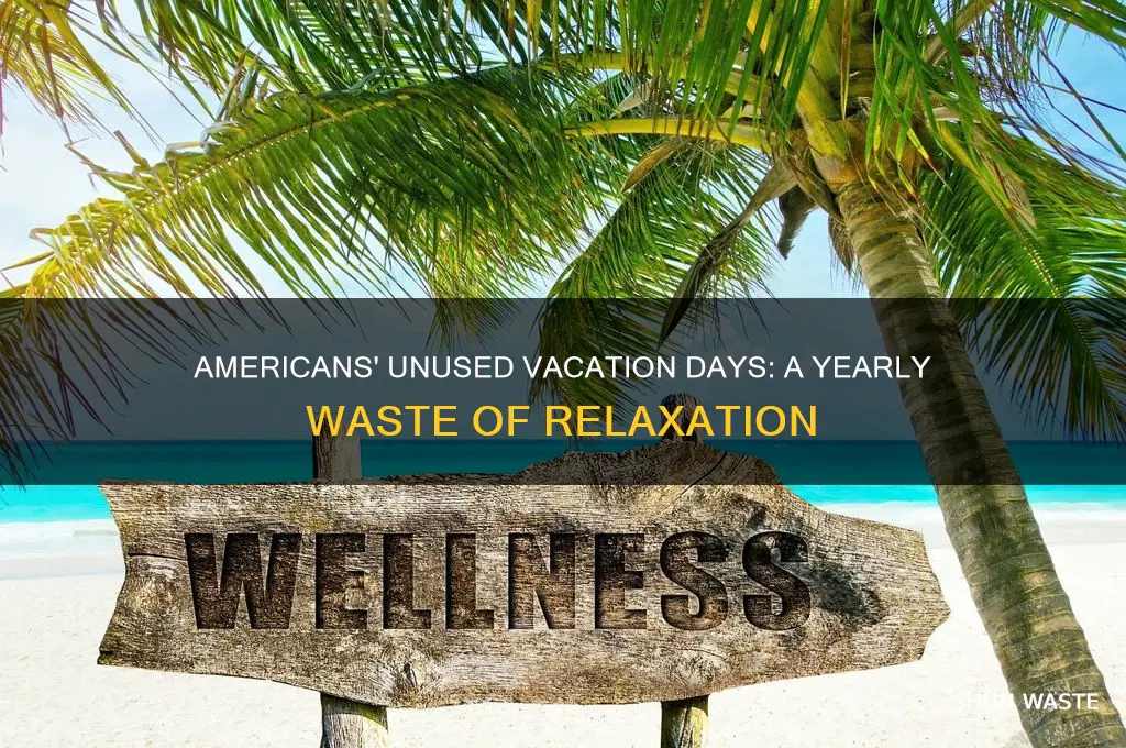 how many vacation days do americans waste a year