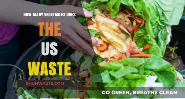 America's Vegetable Waste Crisis: Shocking Stats and Solutions