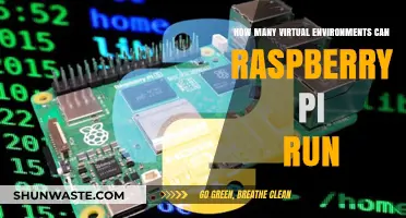 Maximizing Raspberry Pi: Exploring Its Virtual Environment Capacity Limits