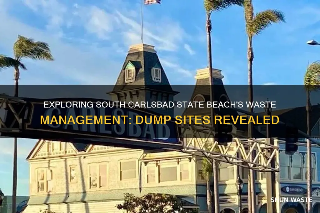 how many waste dumps does south carlsbad state beach have