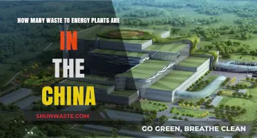 China's Waste-to-Energy Revolution: Counting the Plants Powering Sustainability