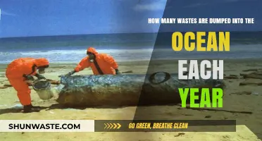 Ocean's Burden: Annual Waste Dumping and Its Environmental Impact