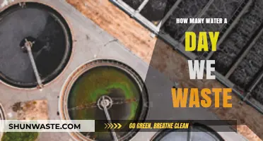 Daily Water Waste: Shocking Amounts and How to Reduce It