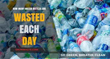 Daily Plastic Bottle Waste: A Shocking Environmental Crisis Unveiled
