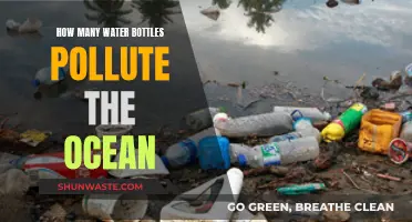 The Surprising Truth: How Many Bottled Waters End Up in the Ocean?