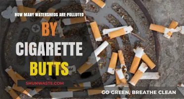 Cigarette Butts: Polluting Our Watersheds