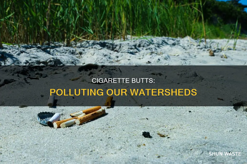 how many watersheds are polluted by cigarette butts