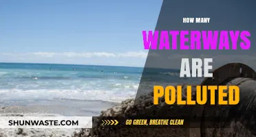 Waterway Pollution: A Global Crisis