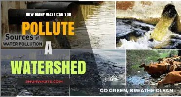 Watersheds Under Siege: Exploring the Many Faces of Pollution