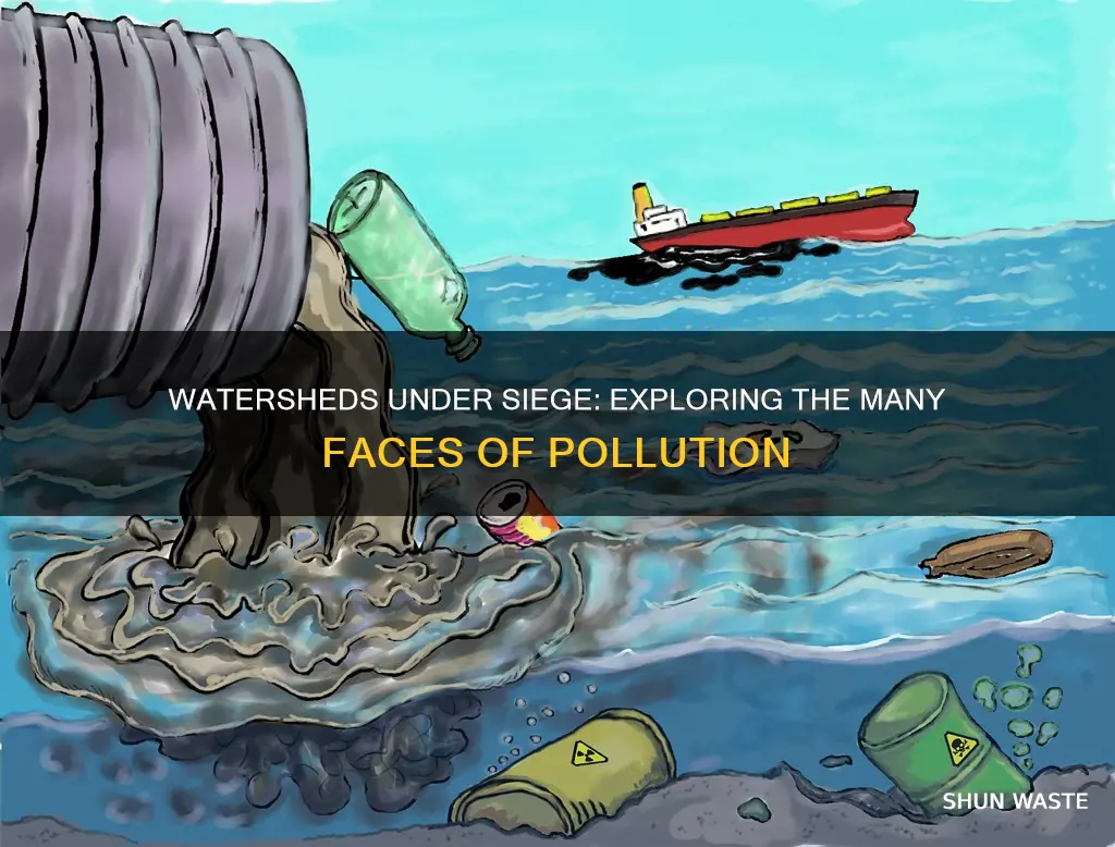 how many ways can you pollute a watershed