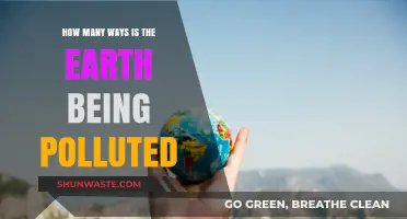 The Earth Suffers Pollution in Many Ways
