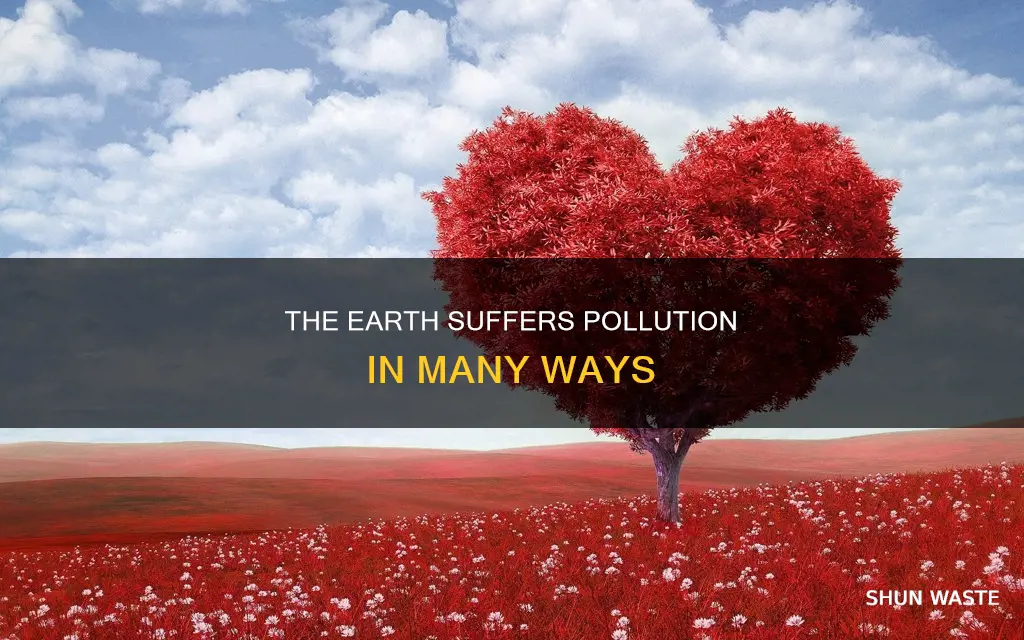 how many ways is the earth being polluted