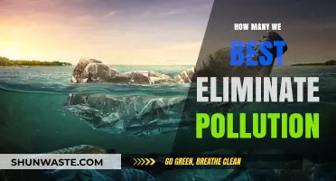 Strategies to Eliminate Pollution: Our Best Bets