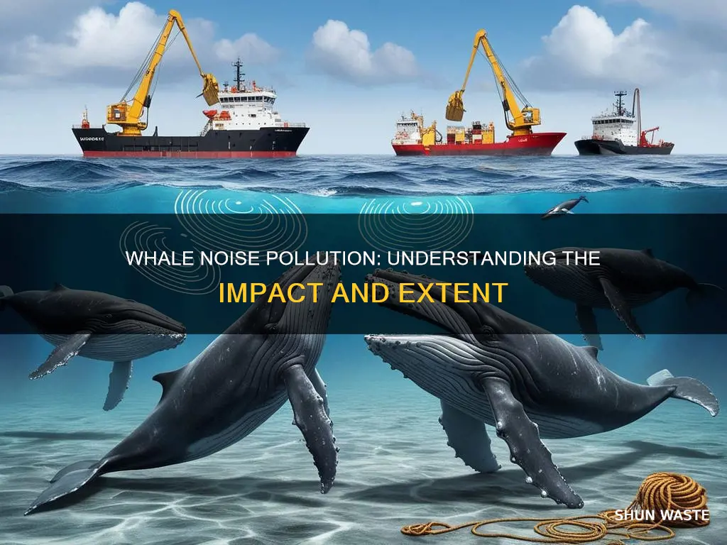 how many whales have been affected by noise pollution