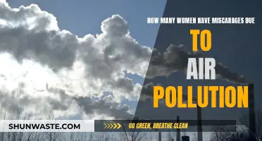 Miscarriages and Air Pollution: Women's Health Crisis