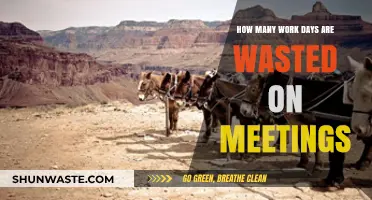 Meetings Overload: How Many Work Days Are Wasted Weekly?