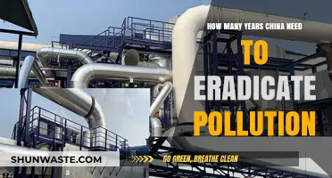 China's Pollution: A Long Road to Clean Air