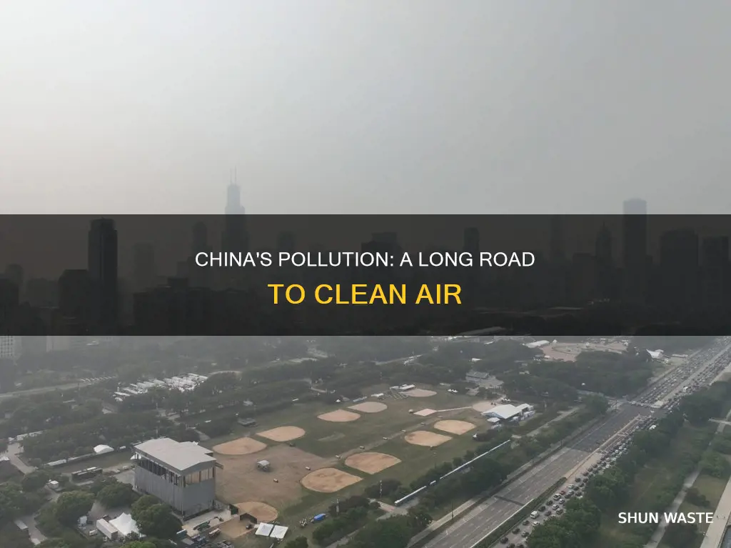 how many years china need to eradicate pollution