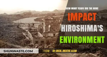 Hiroshima's Environmental Recovery: Decades After the Atomic Bombing