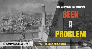 The Dark History of Pollution: A Decades-Long Battle