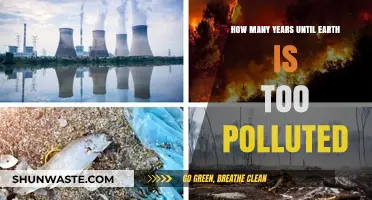 The Earth's Final Years: Pollution's End Game