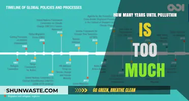 The Ticking Clock of Pollution: When Will It Be Too Late?