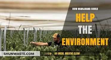 Marijuana's Green Potential: How Cannabis Cultivation Benefits the Environment