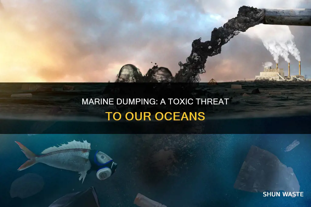 how marine dumping causes water pollution