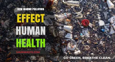 Marine Pollution: Impacting Human Health and Wellbeing