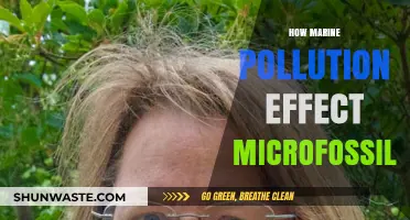 The Impact of Marine Pollution on Microfossils