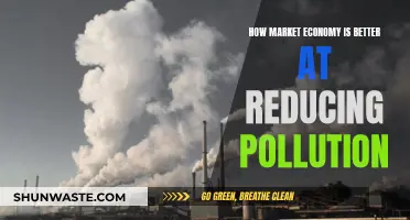 Market Economy: Reducing Pollution, Improving Environment