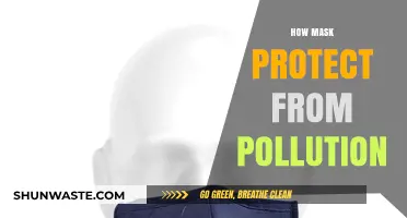 Protecting from Pollution: The Power of Masks