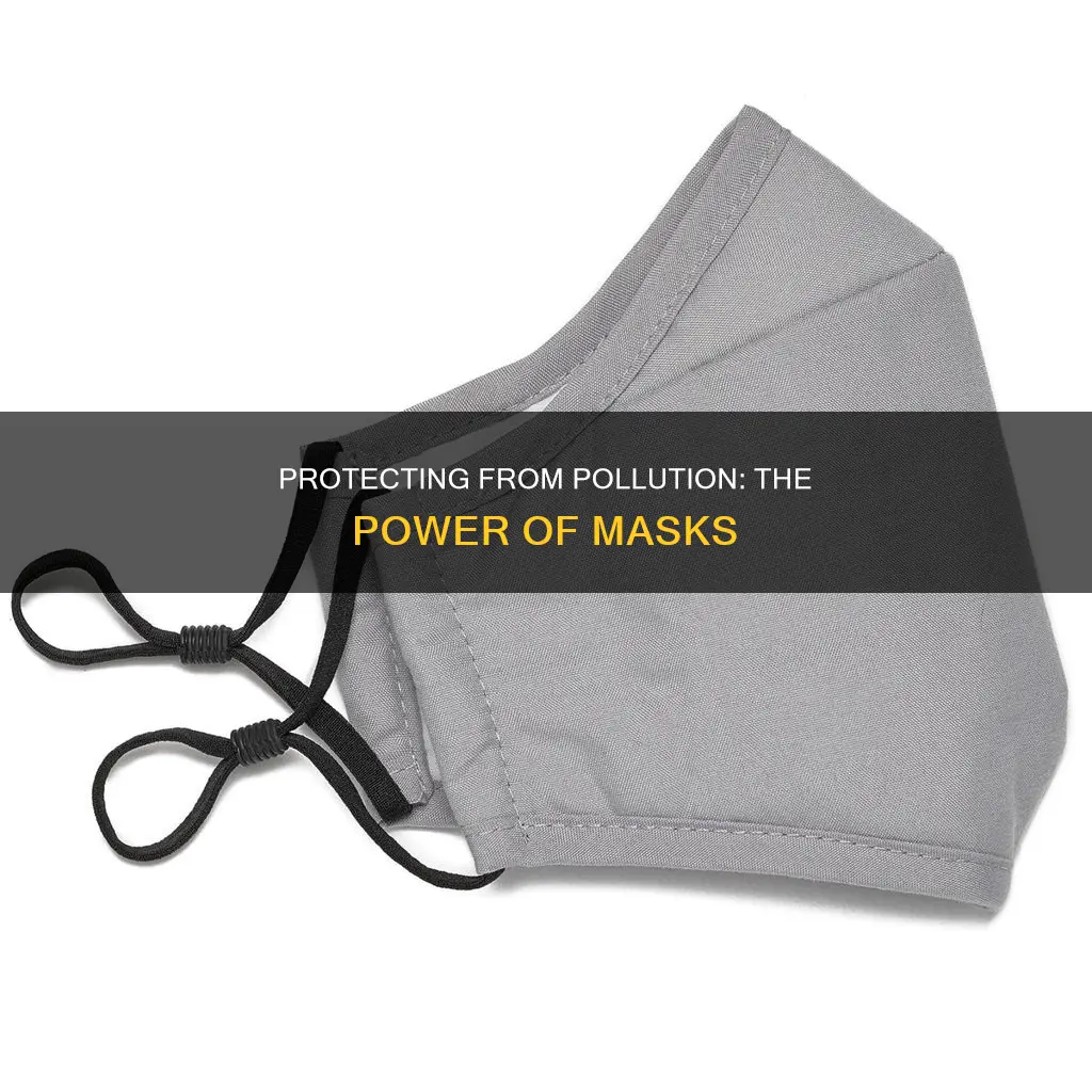 how mask protect from pollution