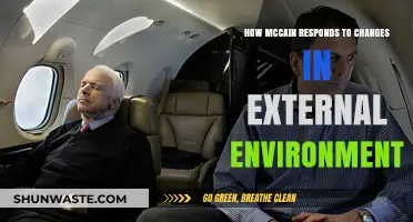 McCain's Strategic Adaptation to Shifting External Market Dynamics